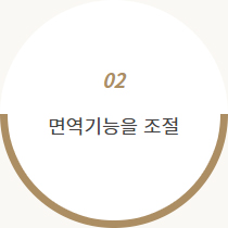 봉독의 효능